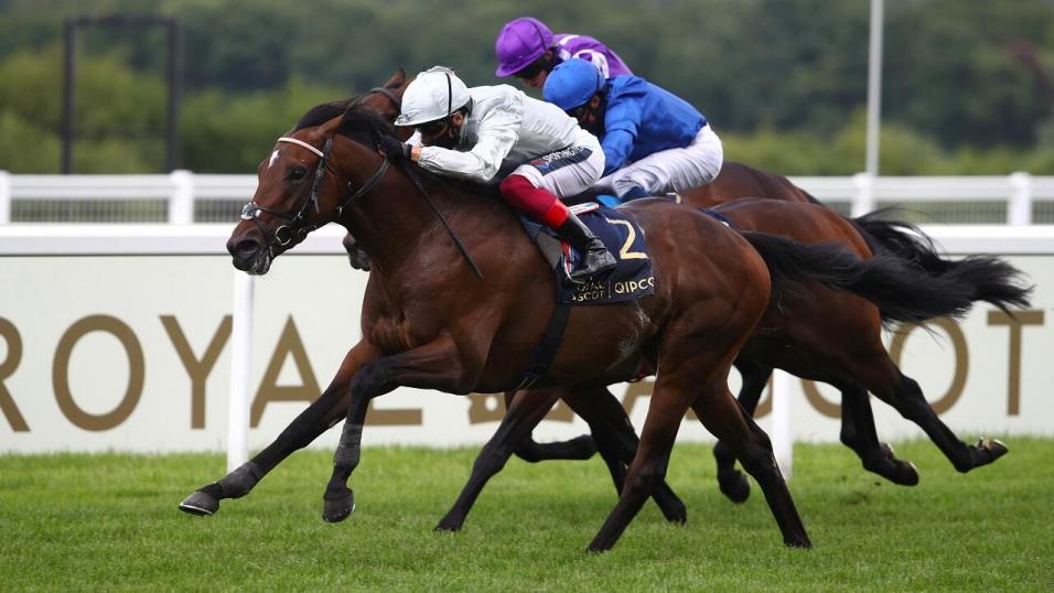 Palace Pier is the headline act at Deauville